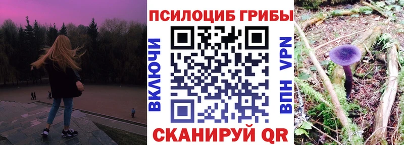 Галлюциногенные грибы MAGIC MUSHROOMS  Арск 